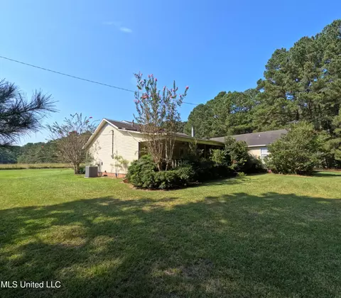 Other - 2430 Highway 501, Forest, MS 39074 photo 55 of 59