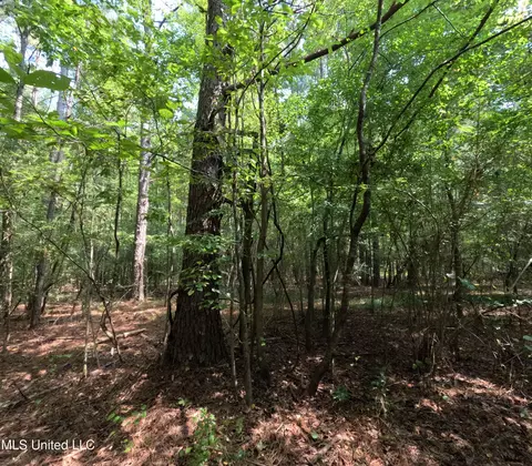 Other - 2430 Highway 501, Forest, MS 39074 photo 28 of 59
