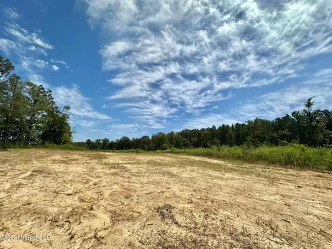 133 Ross Rd, Camden, MS 39045 photo 9