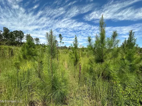 133 Ross Rd, Camden, MS 39045 photo 12