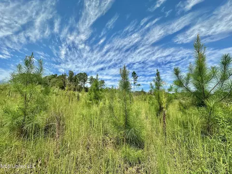 133 Ross Rd, Camden, MS 39045 photo 11