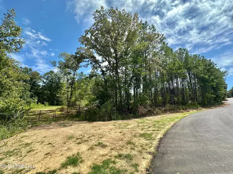 133 Ross Rd, Camden, MS 39045 photo 4