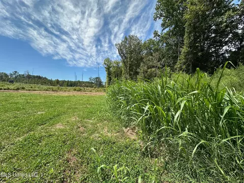 133 Ross Rd, Camden, MS 39045 photo 20