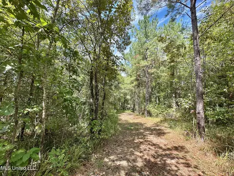 133 Ross Rd, Camden, MS 39045 photo 32