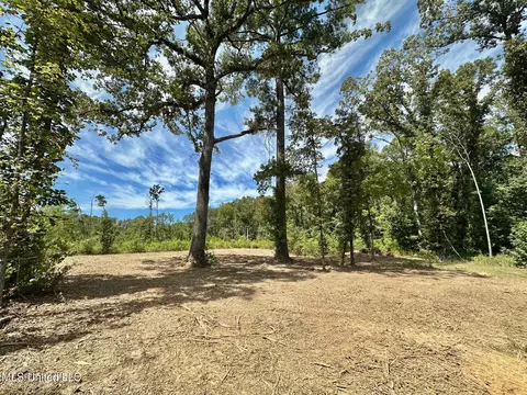 133 Ross Rd, Camden, MS 39045 photo 34