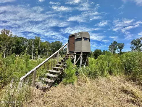133 Ross Rd, Camden, MS 39045 photo 24
