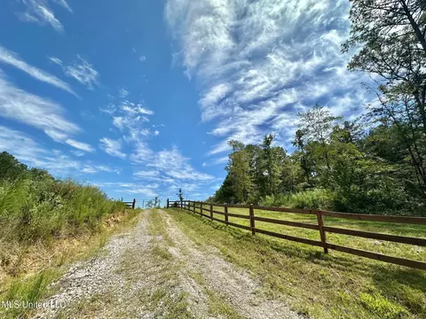 133 Ross Rd, Camden, MS 39045 photo 5