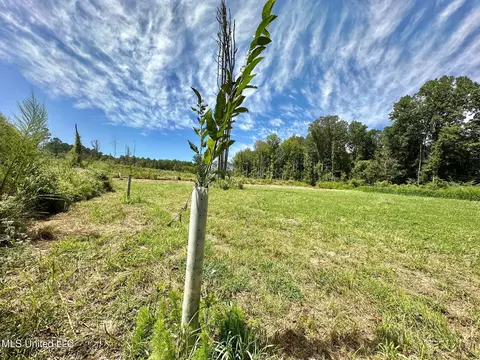 133 Ross Rd, Camden, MS 39045 photo 16