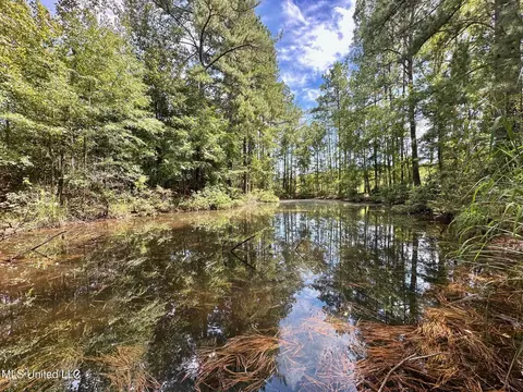 133 Ross Rd, Camden, MS 39045 photo 38