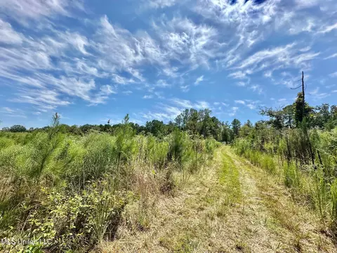 133 Ross Rd, Camden, MS 39045 photo 41