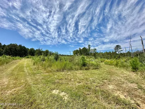 133 Ross Rd, Camden, MS 39045 photo 22