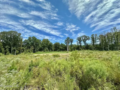 133 Ross Rd, Camden, MS 39045 photo 26