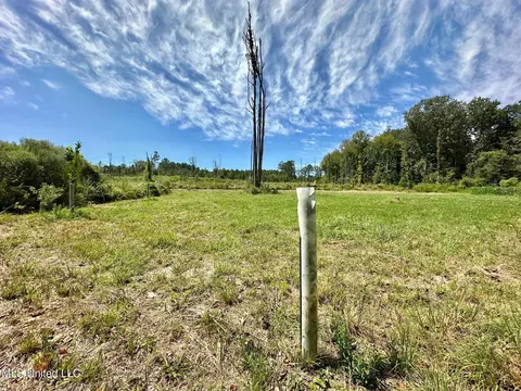133 Ross Rd, Camden, MS 39045 photo 17