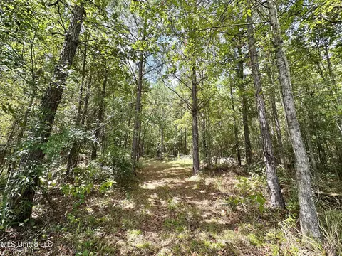 133 Ross Rd, Camden, MS 39045 photo 31