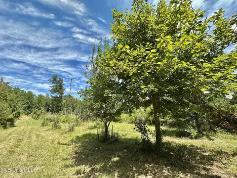 133 Ross Rd, Camden, MS 39045 photo 30