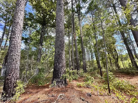 133 Ross Rd, Camden, MS 39045 photo 39