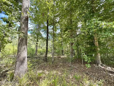133 Ross Rd, Camden, MS 39045 photo 33