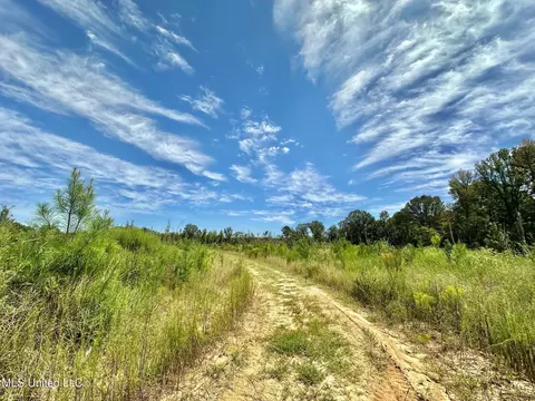 133 Ross Rd, Camden, MS 39045 photo 10
