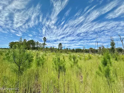 133 Ross Rd, Camden, MS 39045 photo 14