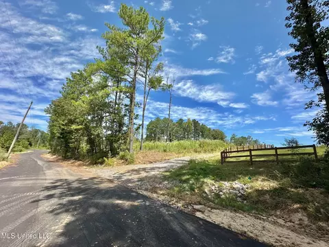 133 Ross Rd, Camden, MS 39045 photo 3