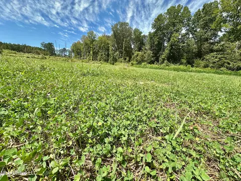 133 Ross Rd, Camden, MS 39045 photo 18