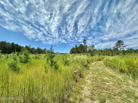 133 Ross Rd, Camden, MS 39045 photo 23