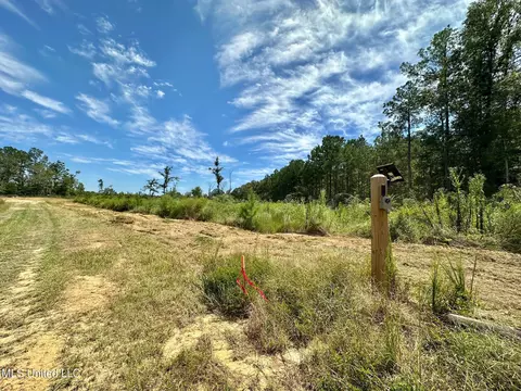 133 Ross Rd, Camden, MS 39045 photo 8