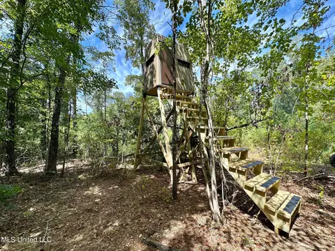 133 Ross Rd, Camden, MS 39045 photo 27