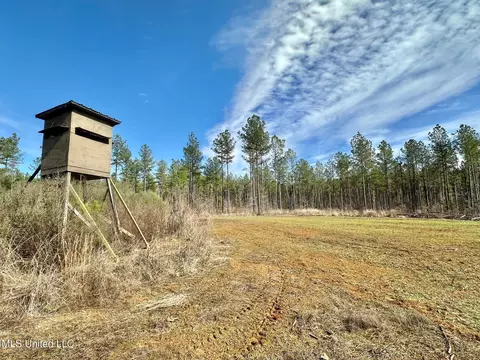 6145 Dry Grove Rd, Terry, MS 39170 photo 37