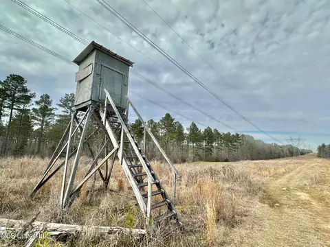 6145 Dry Grove Rd, Terry, MS 39170 photo 74