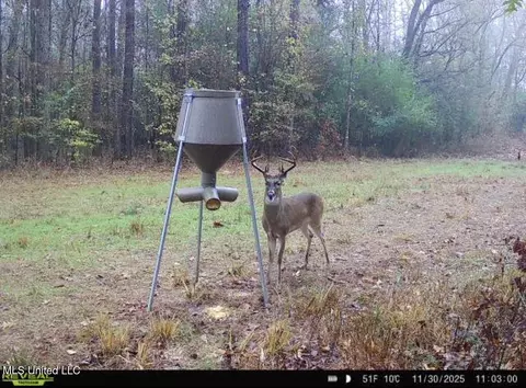 6145 Dry Grove Rd, Terry, MS 39170 photo 93