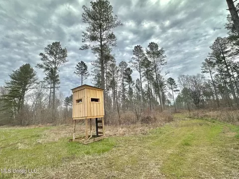 6145 Dry Grove Rd, Terry, MS 39170 photo 84