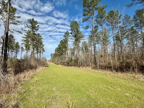 6145 Dry Grove Rd, Terry, MS 39170 photo 56