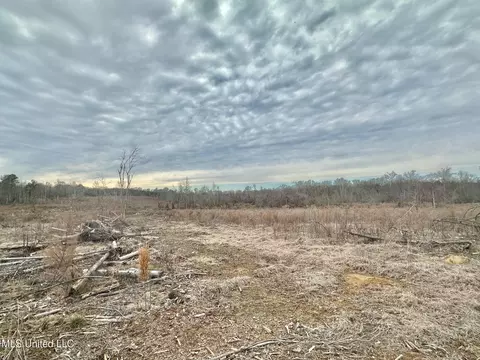 6145 Dry Grove Rd, Terry, MS 39170 photo 83