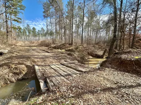6145 Dry Grove Rd, Terry, MS 39170 photo 63