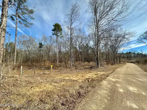 6145 Dry Grove Rd, Terry, MS 39170 photo 30