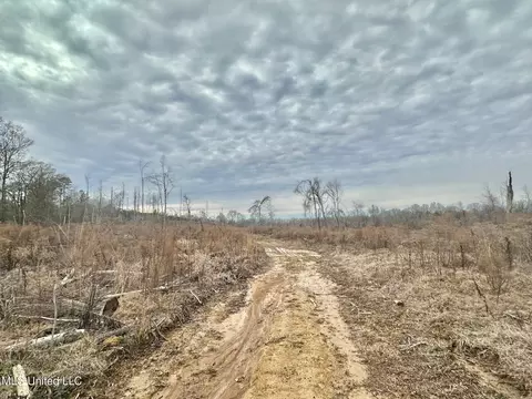 6145 Dry Grove Rd, Terry, MS 39170 photo 80