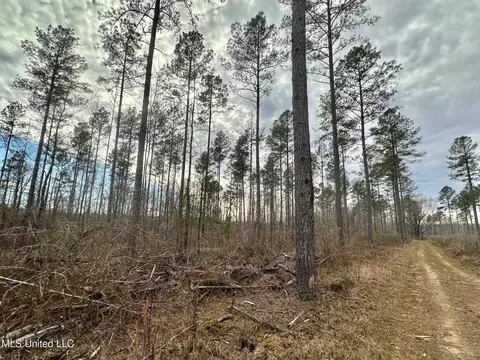 6145 Dry Grove Rd, Terry, MS 39170 photo 77