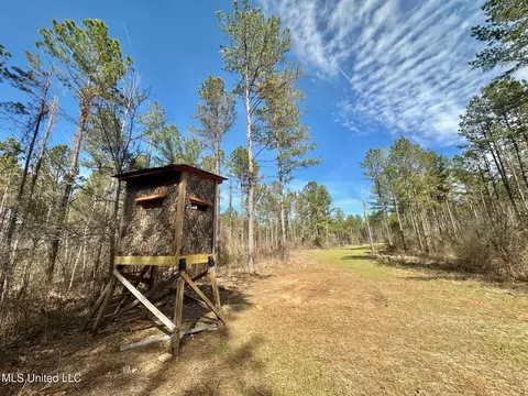 6145 Dry Grove Rd, Terry, MS 39170 photo 34