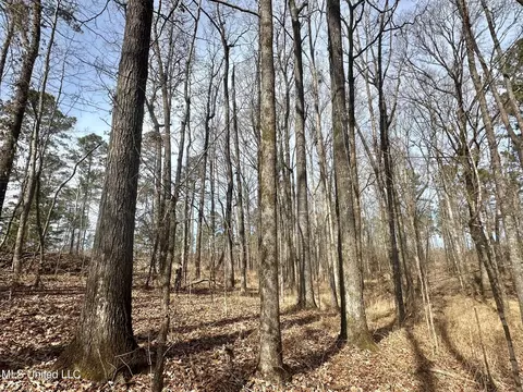 6145 Dry Grove Rd, Terry, MS 39170 photo 18
