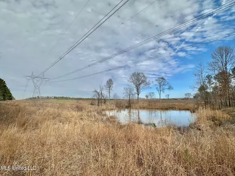 6145 Dry Grove Rd, Terry, MS 39170 photo 73