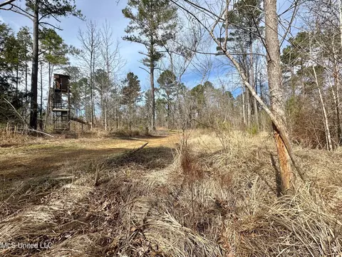 6145 Dry Grove Rd, Terry, MS 39170 photo 19