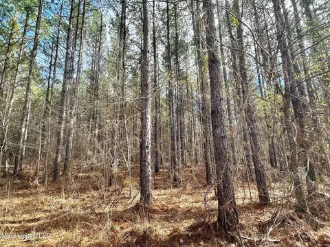 6145 Dry Grove Rd, Terry, MS 39170 photo 39