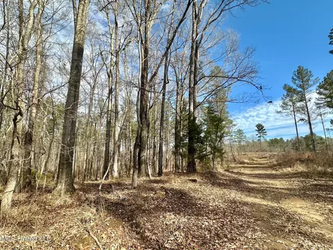 6145 Dry Grove Rd, Terry, MS 39170 photo 65