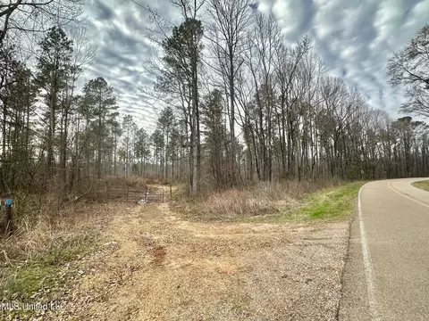 6145 Dry Grove Rd, Terry, MS 39170 photo 88