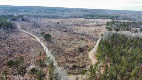 6145 Dry Grove Rd, Terry, MS 39170 photo 46