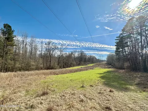 6145 Dry Grove Rd, Terry, MS 39170 photo 68