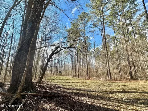6145 Dry Grove Rd, Terry, MS 39170 photo 41