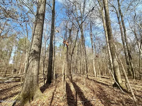 6145 Dry Grove Rd, Terry, MS 39170 photo 33