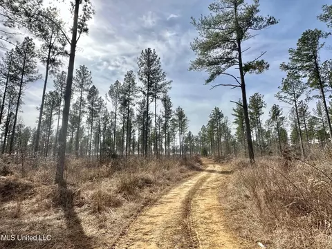6145 Dry Grove Rd, Terry, MS 39170 photo 3
